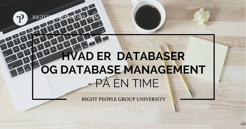 Hvad er databaser og database management?