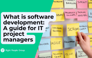 What is software development: A guide for IT project managers