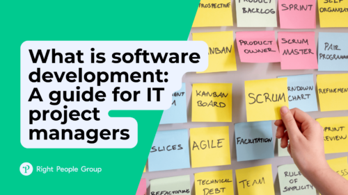 What is software development: A guide for IT project managers