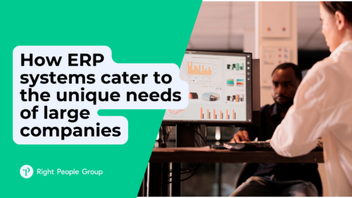 How ERP systems cater to the unique needs of large companies